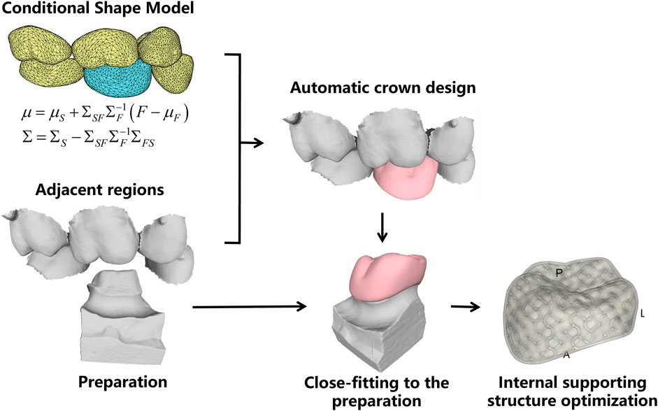 Frontiers | automated tooth crown design with optimized shape and