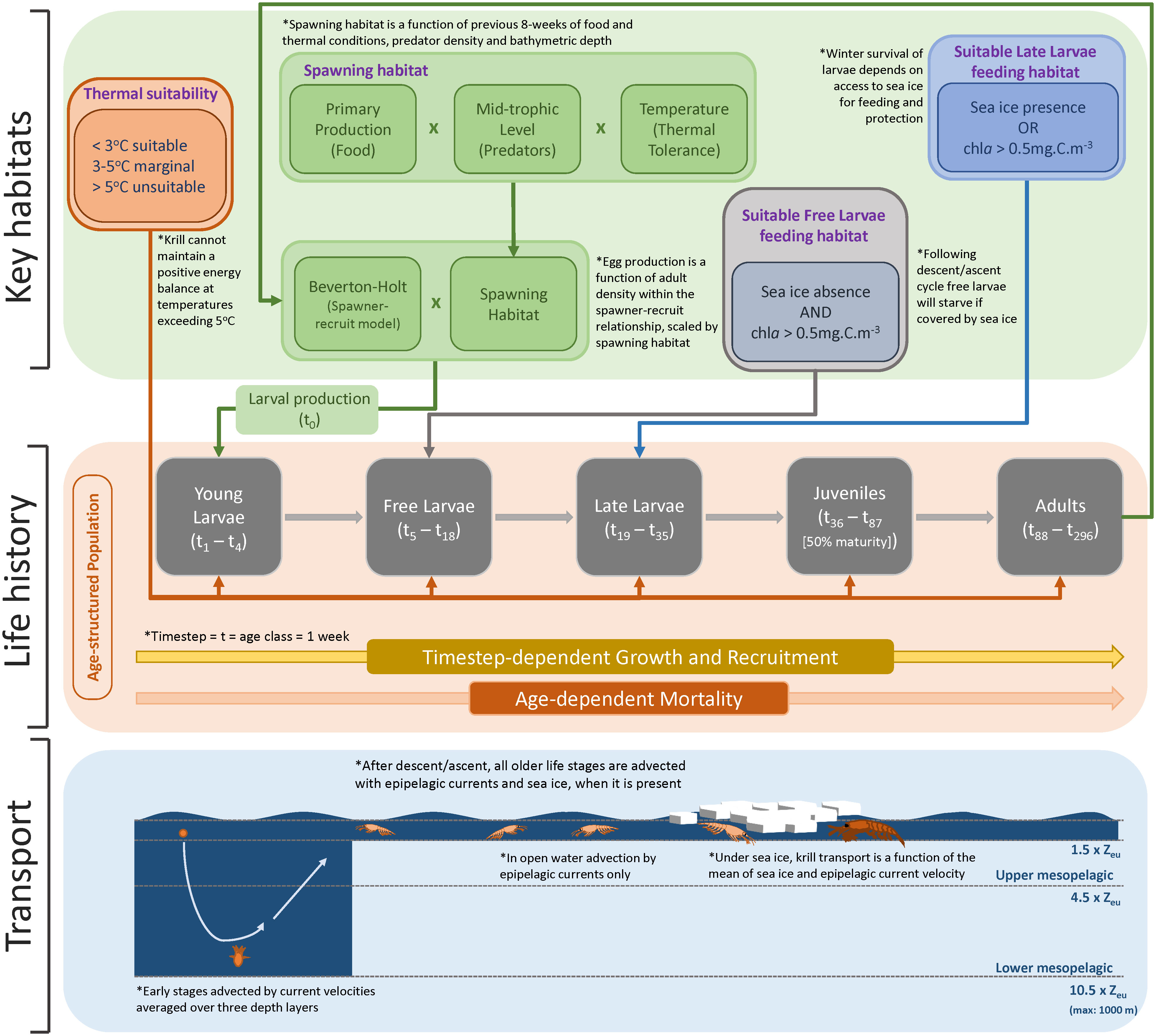 Frontiers KRILLPODYM a mechanistic, spatially resolved model of