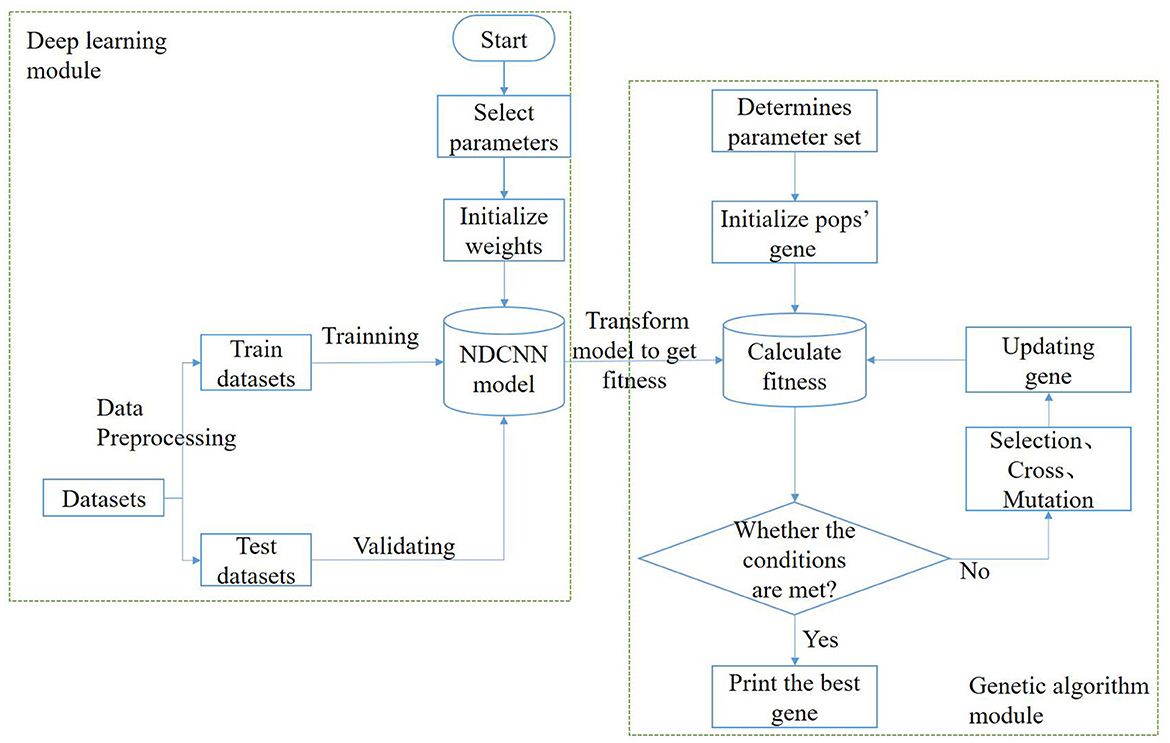 Frontiers | Bioinformatics-based and multiscale convolutional neural ...