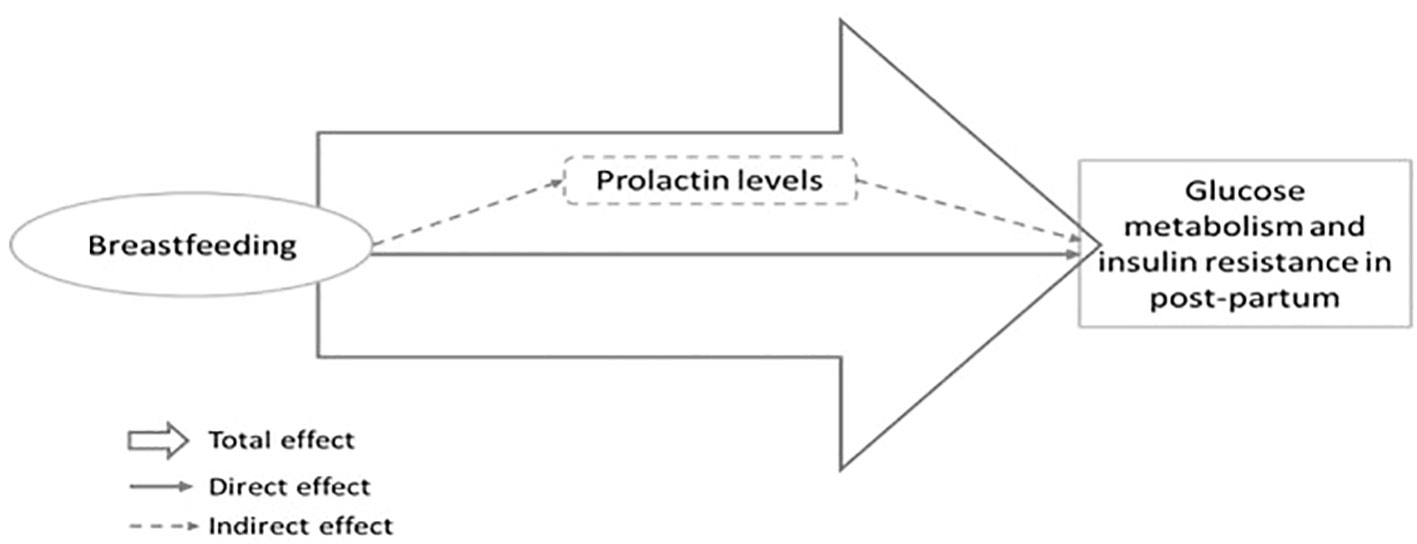 www.frontiersin.org