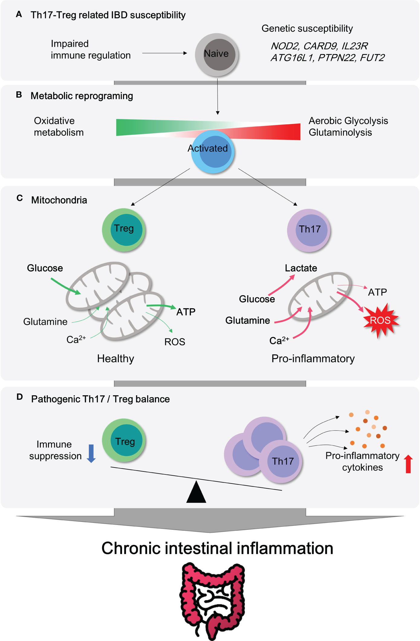 Polyamine metabolism impacts T cell dysfunction in the oral mucosa of  people living with HIV