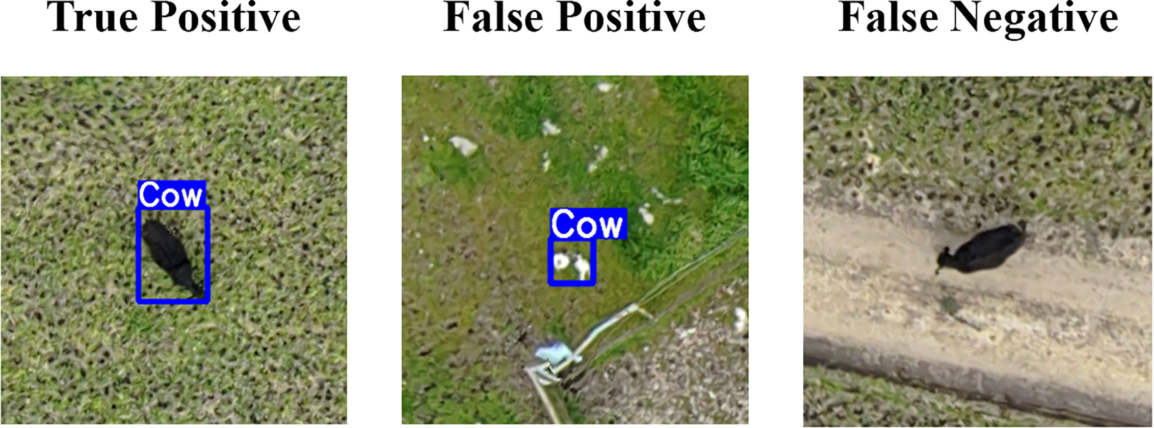 www.frontiersin.org