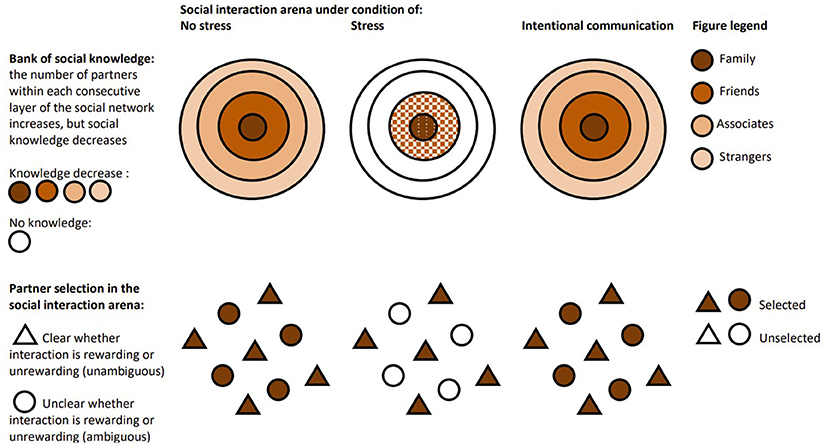 Figure 1 - Hypothesis for Communicative Roots of Complex Sociality and Cognition [2] explains the link between social and communicative complexity.
