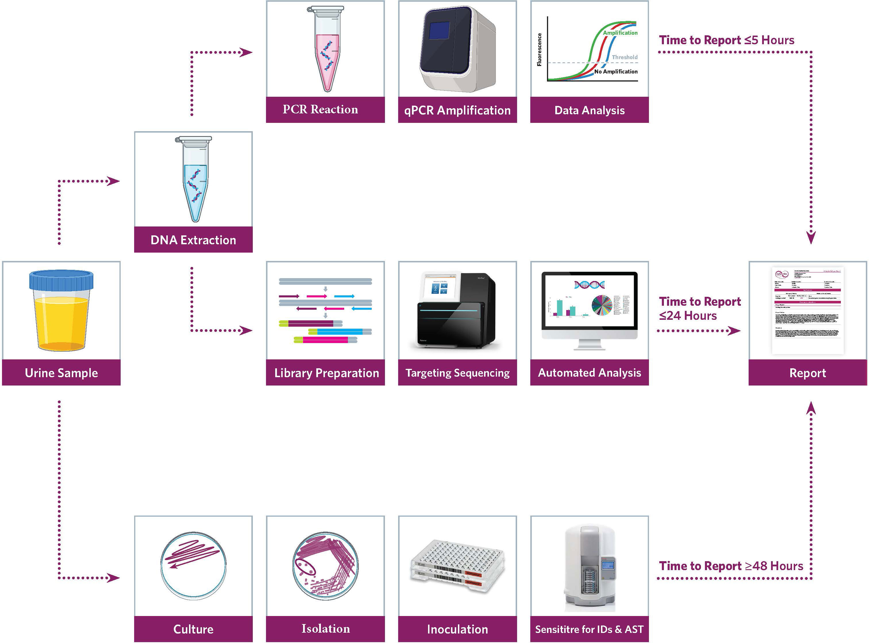 Frontiers Advantage Of Precision Metagenomics For Urinary Tract 