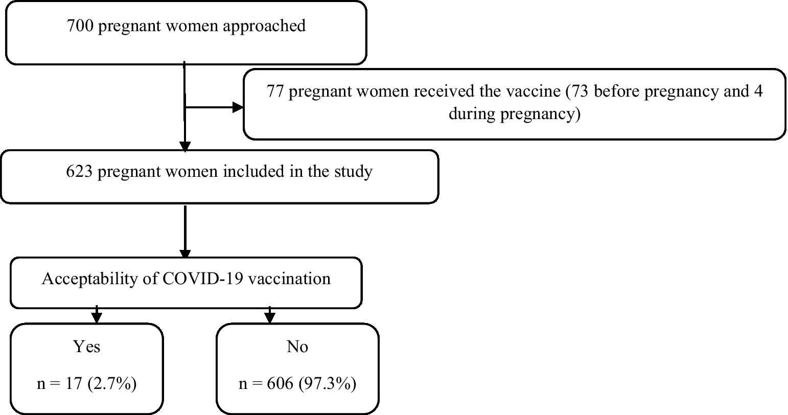 SARS-CoV-2 Infection Among Hospitalized Pregnant Women: Reasons