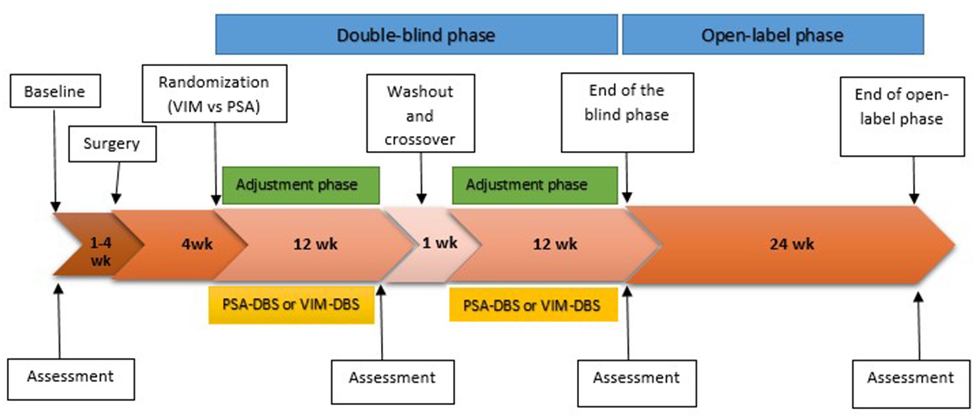 Frontiers  Neuropsychological Assessments of Patients With