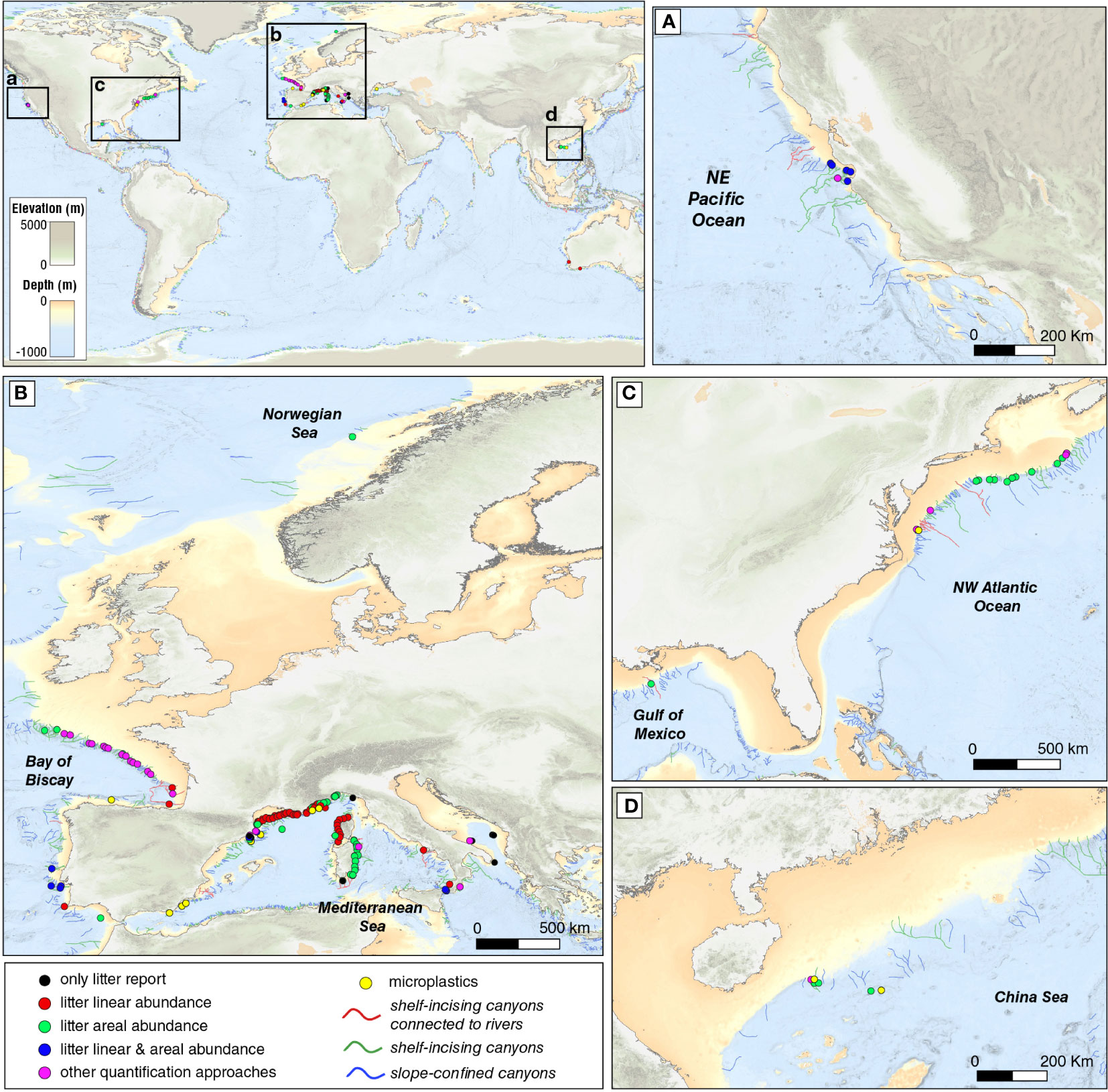 Frontiers  Transport and accumulation of litter in submarine canyons: a  geoscience perspective