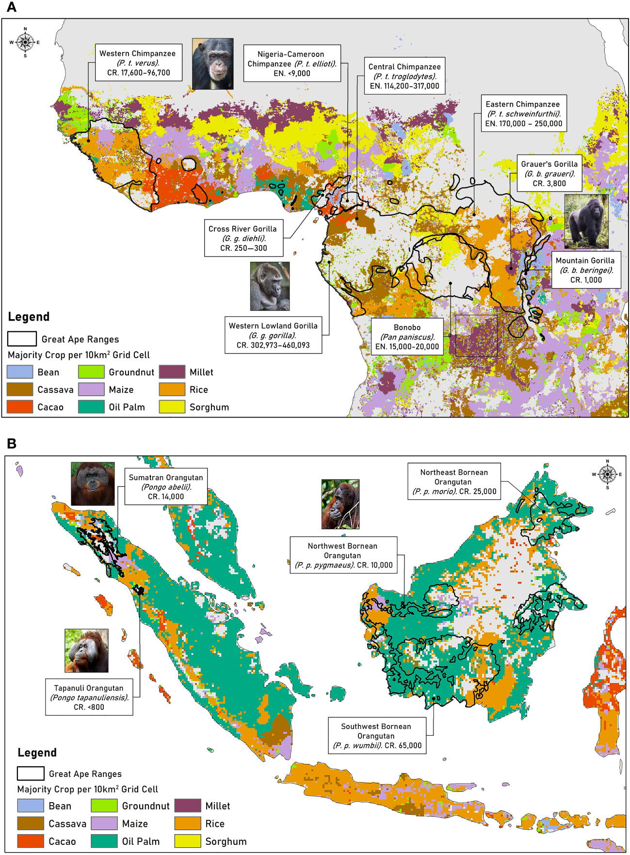 Tropical forest conservation: long-term processes of human evolution,  cultural adaptations and consumption patterns