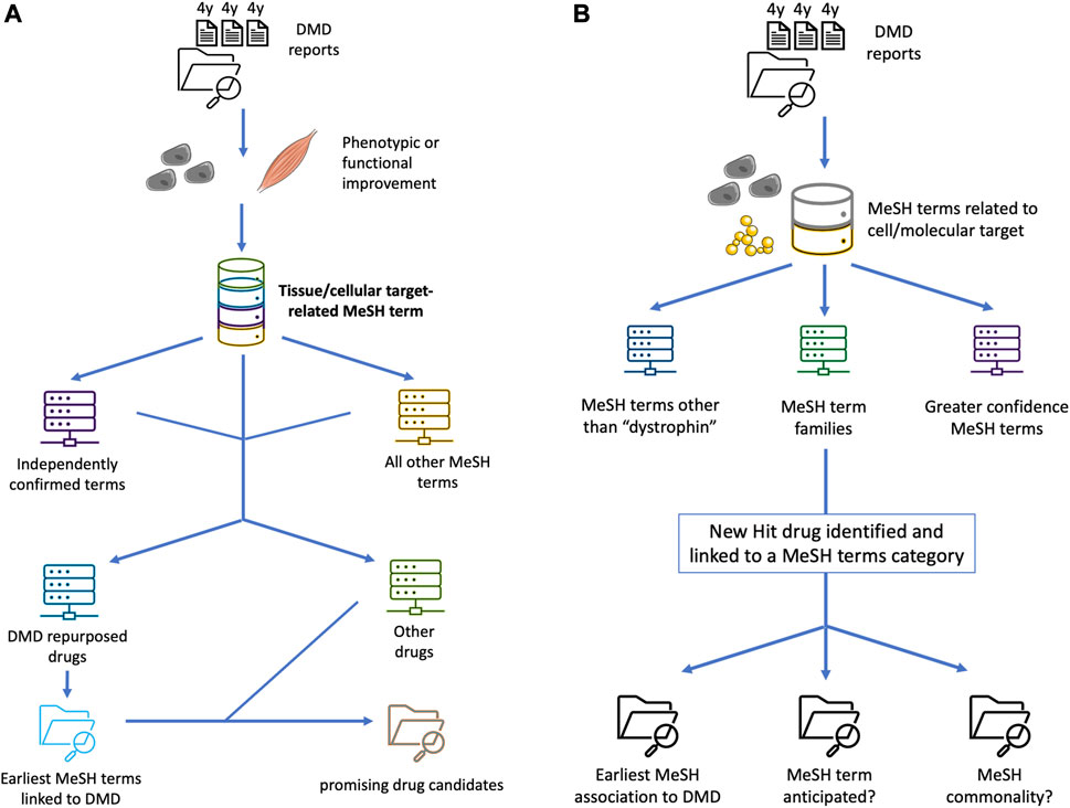 Frontiers  Current Pharmacological Strategies for Duchenne