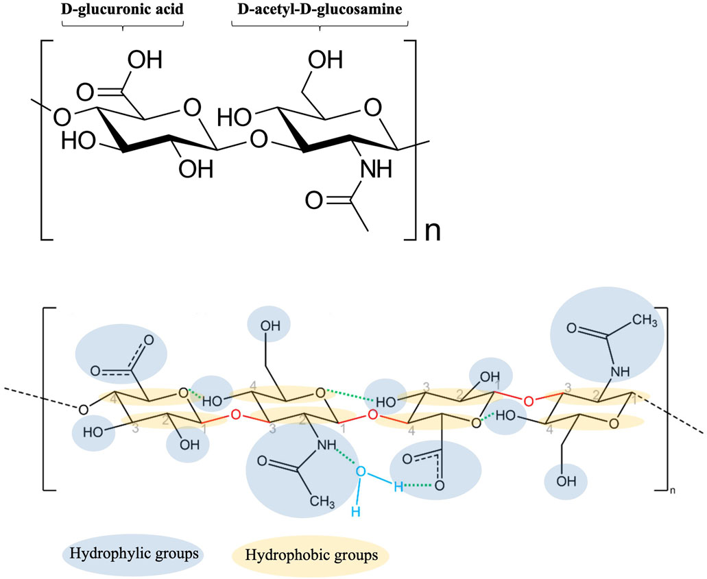 Frontiers Mucoadhesive polymers in substancebased medical devices functional ingredients or