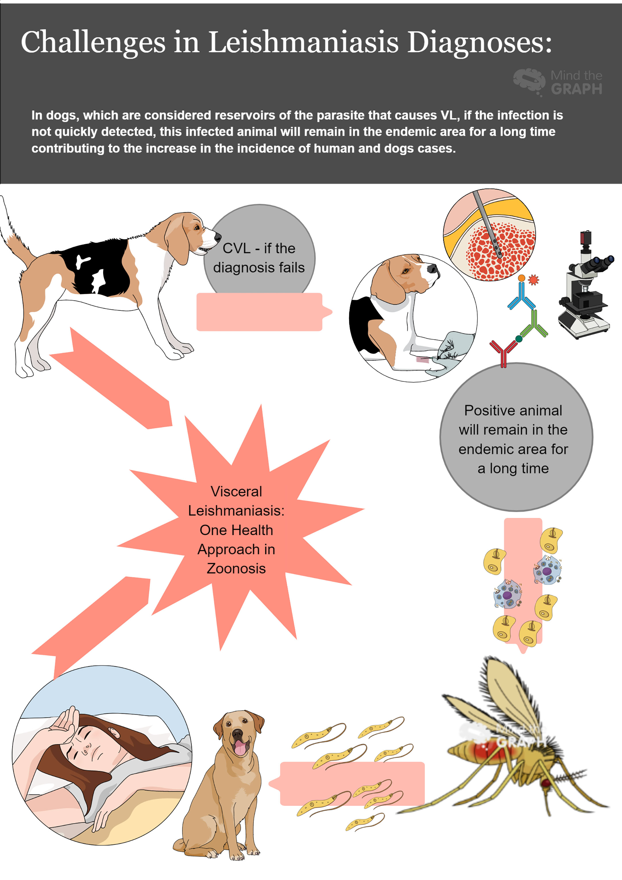 research articles on zoonosis