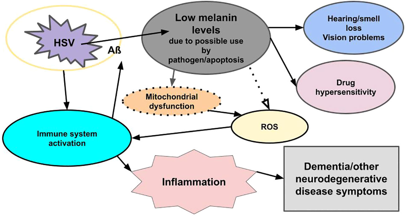 A Unifying Hypothesis for Alzheimer's Disease: From Plaques to