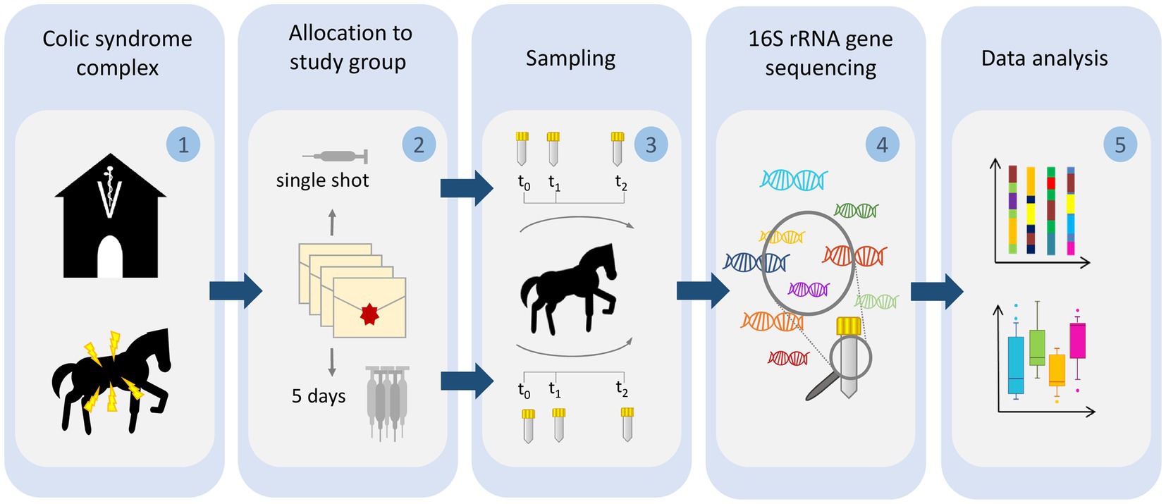 Frontiers | Antibiotic prophylaxis and hospitalization of horses subjected  to median laparotomy: gut microbiota trajectories and abundance increase of  Escherichia