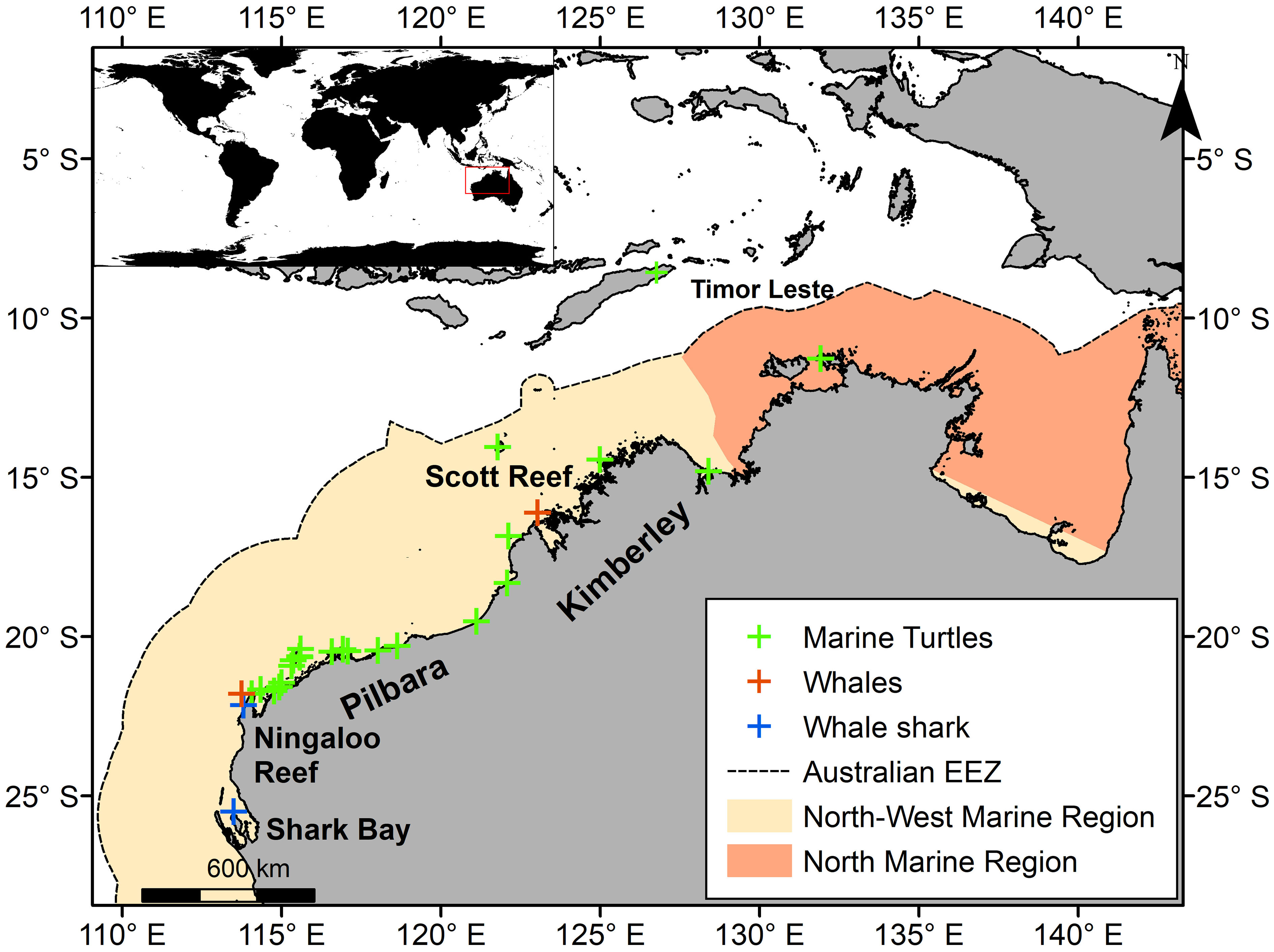 Frontiers | Exposure Of Marine Megafauna To Cumulative.