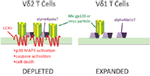 www.frontiersin.org
