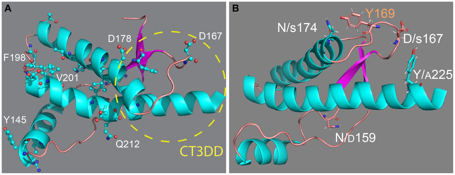 small protein packer