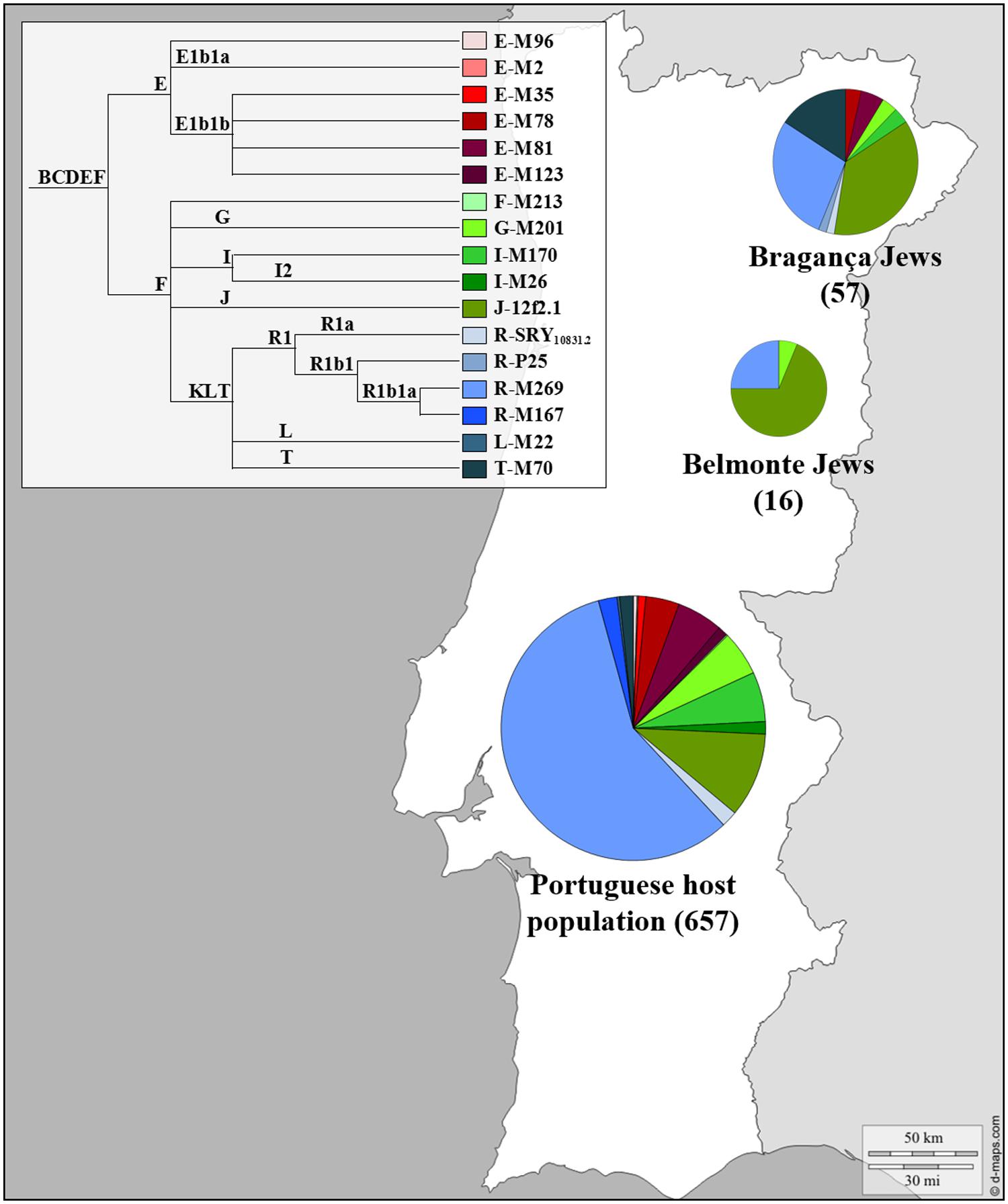 www.frontiersin.org