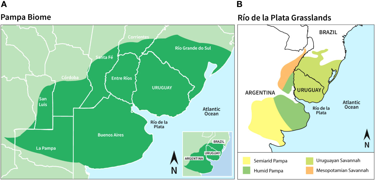 Brazil Paraibano 2023 Table & Stats