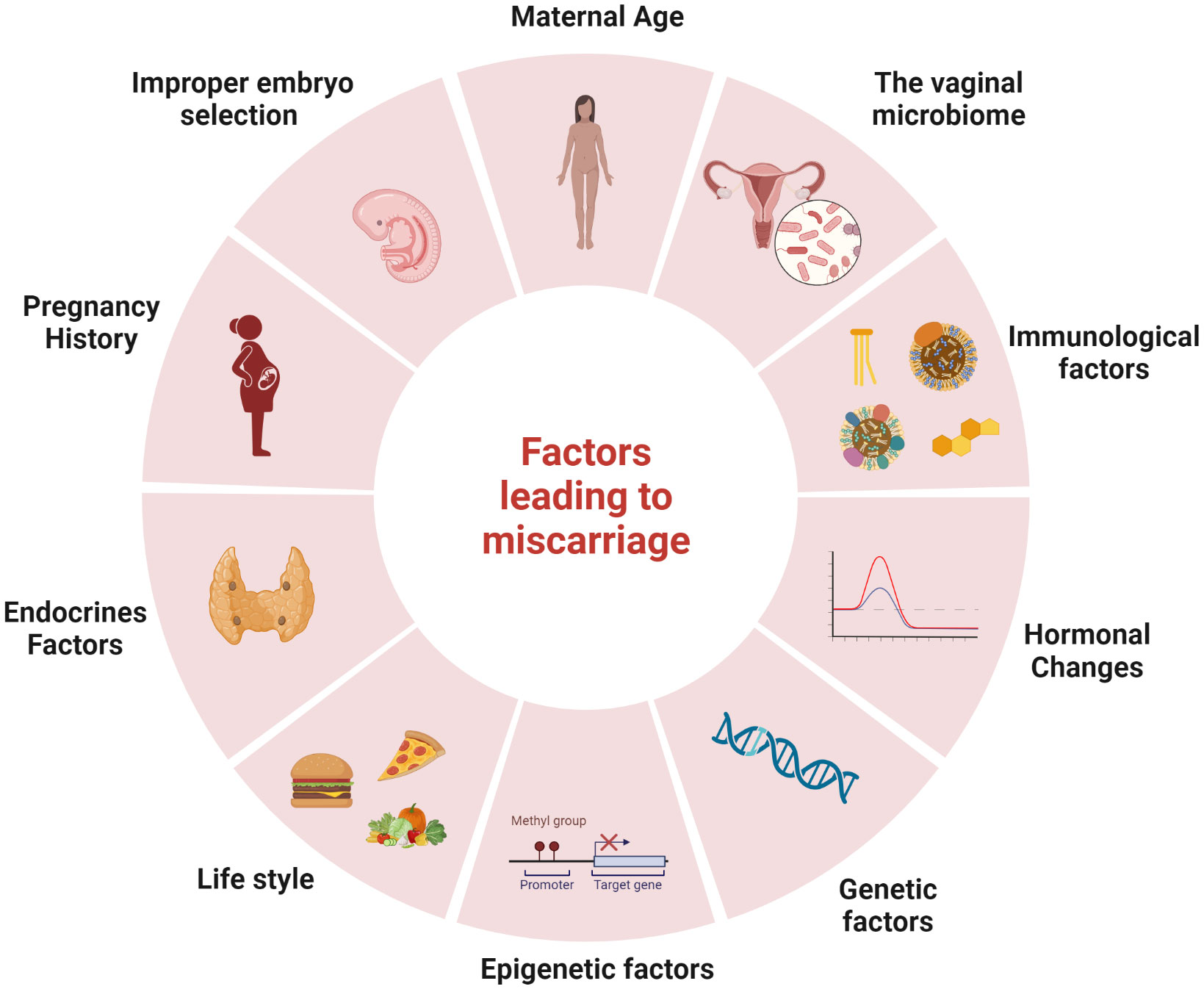 Evaluation of the efficacy of Lactobacillus-containing feminine