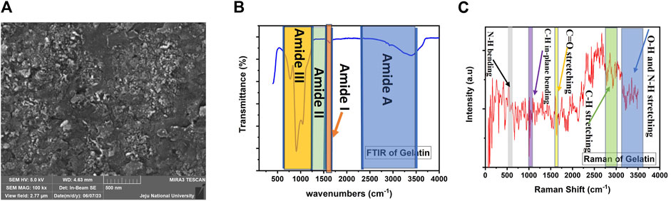 www.frontiersin.org