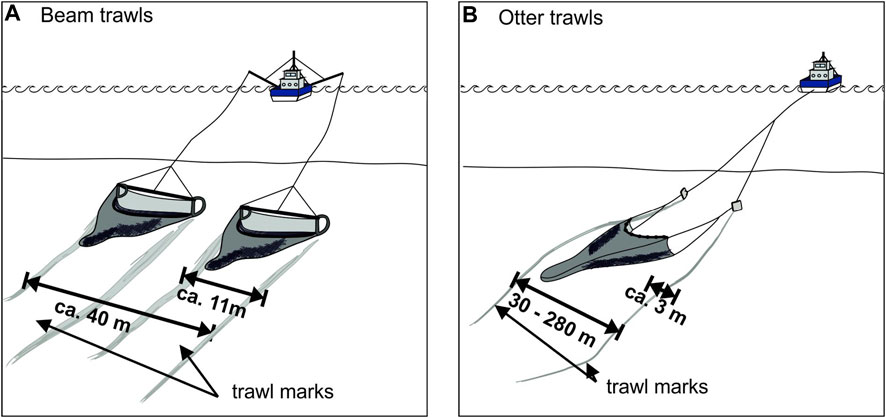 Frontiers  Physical impact of bottom trawling on seafloor sediments in the  German North Sea