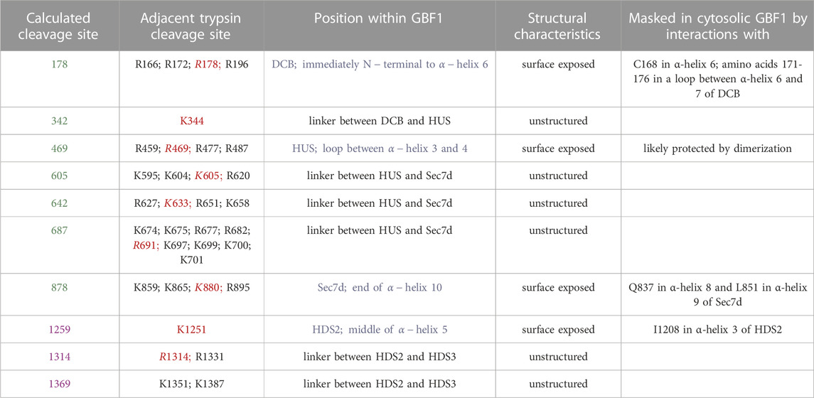 Site-specific phosphorylations of the Arf activator GBF1 differentially  regulate GBF1 function in Golgi homeostasis and secretion versus  cytokinesis