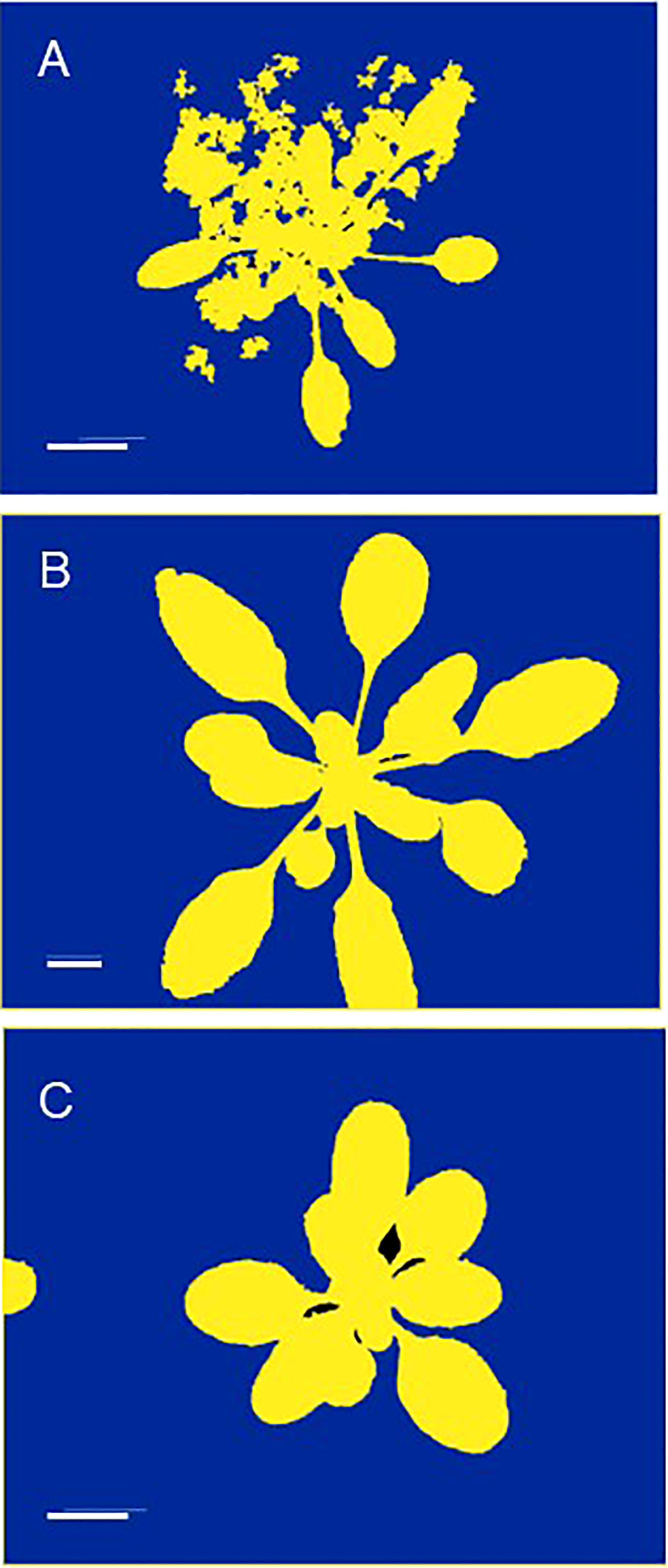 www.frontiersin.org