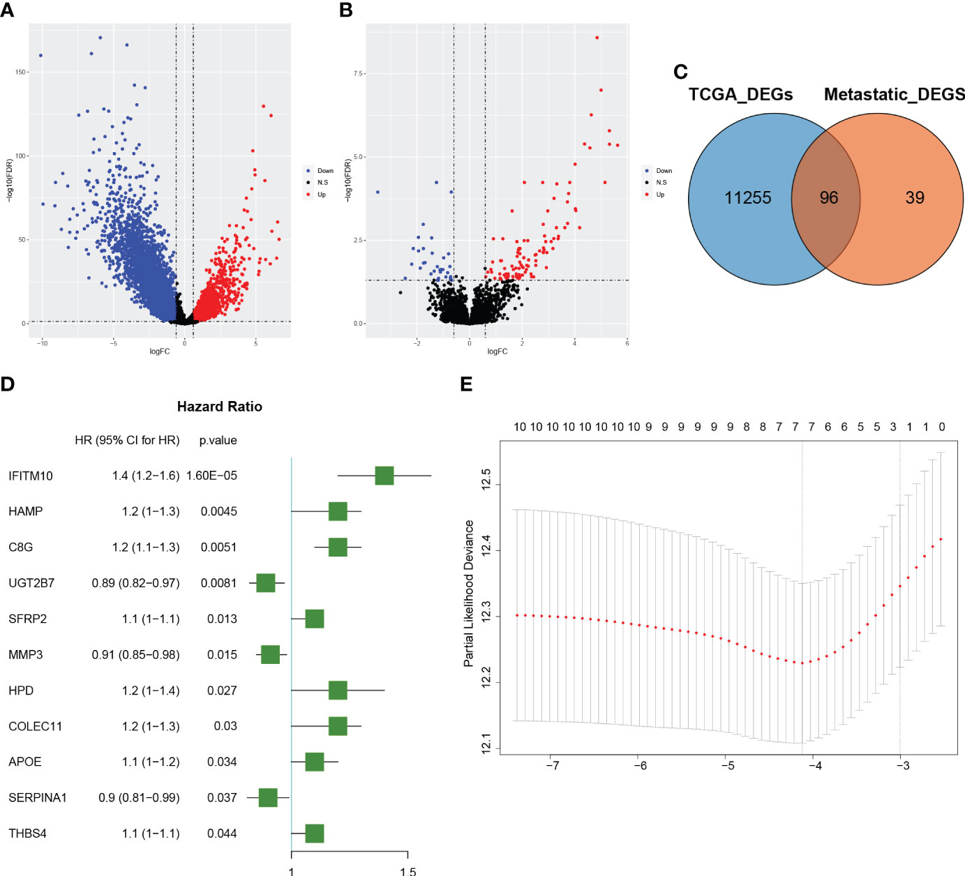 Frontiers  Identification of MARK2, CCDC71, GATA2, and KLRC3 as