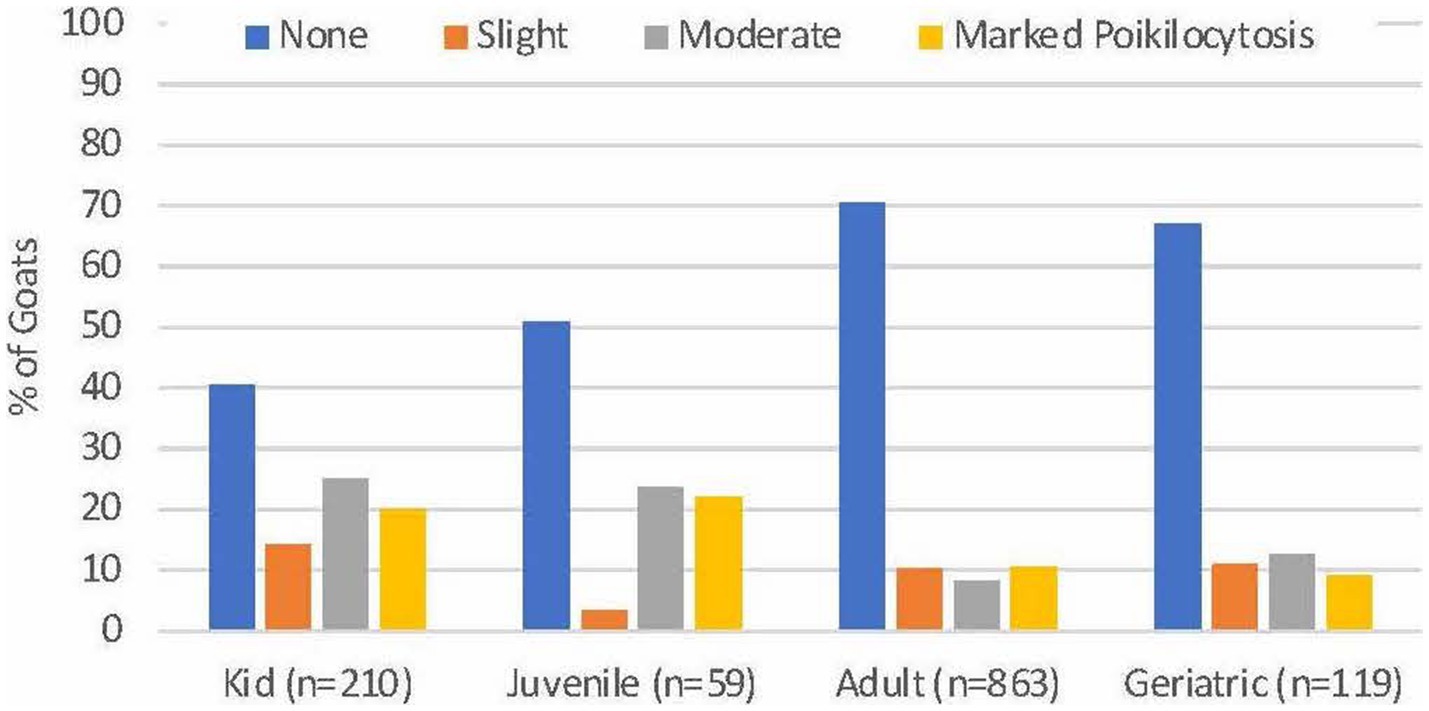Frontiers | Re-examining poikilocytosis in goats: prevalence, type and ...