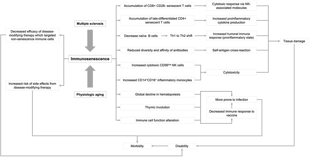 Frontiers  Therapeutic Advances in Multiple Sclerosis