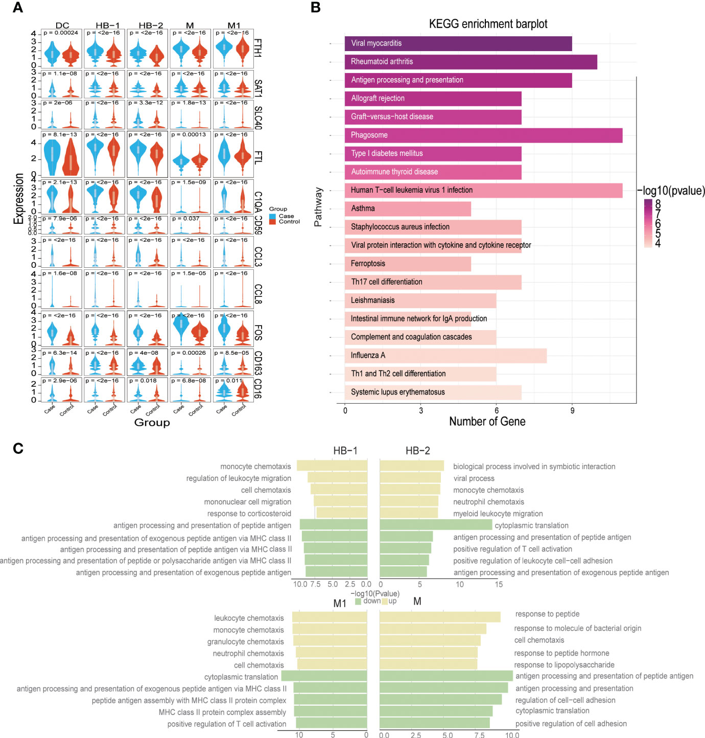 Frontiers  Identification of MARK2, CCDC71, GATA2, and KLRC3 as