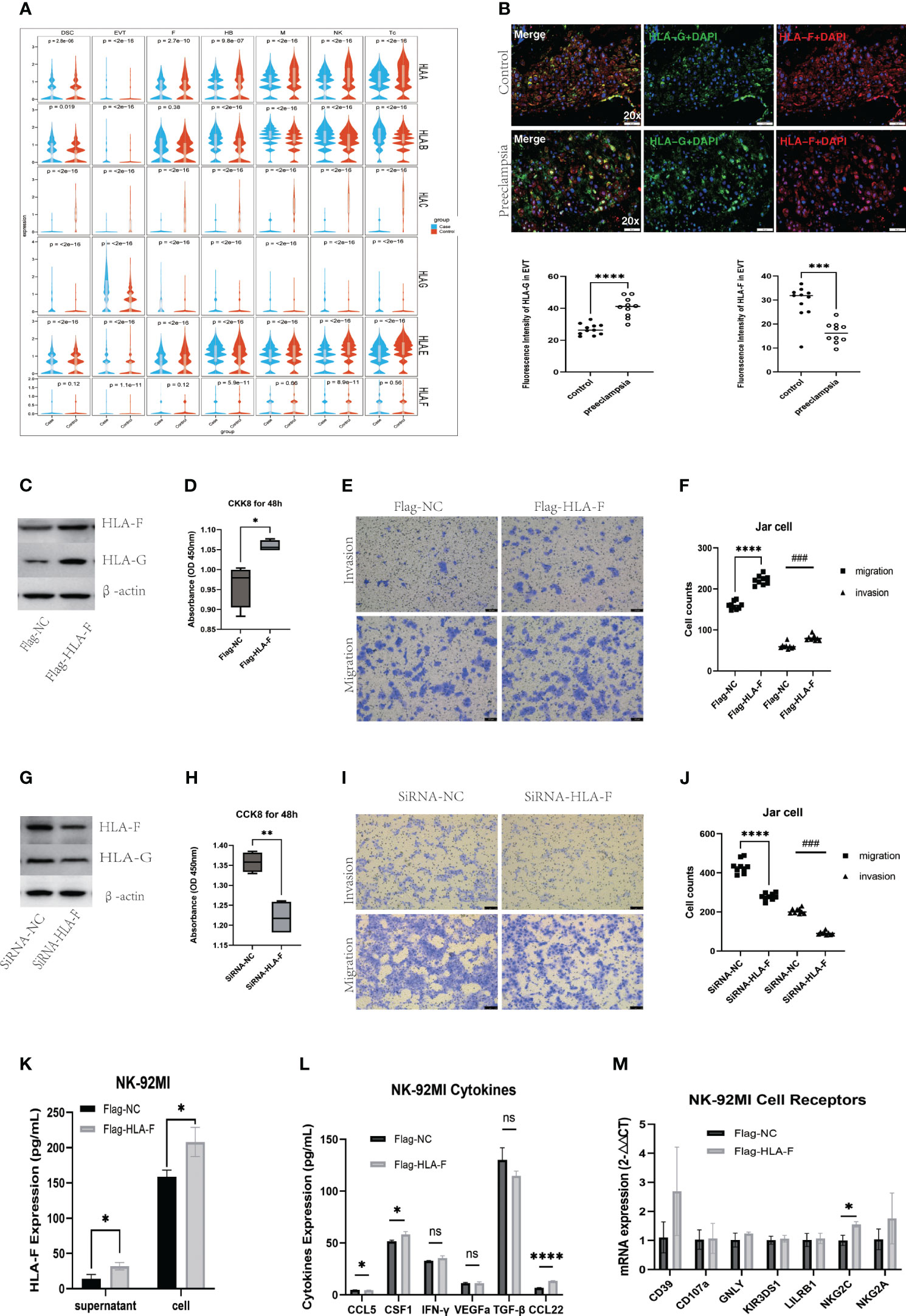 Frontiers  Identification of MARK2, CCDC71, GATA2, and KLRC3 as