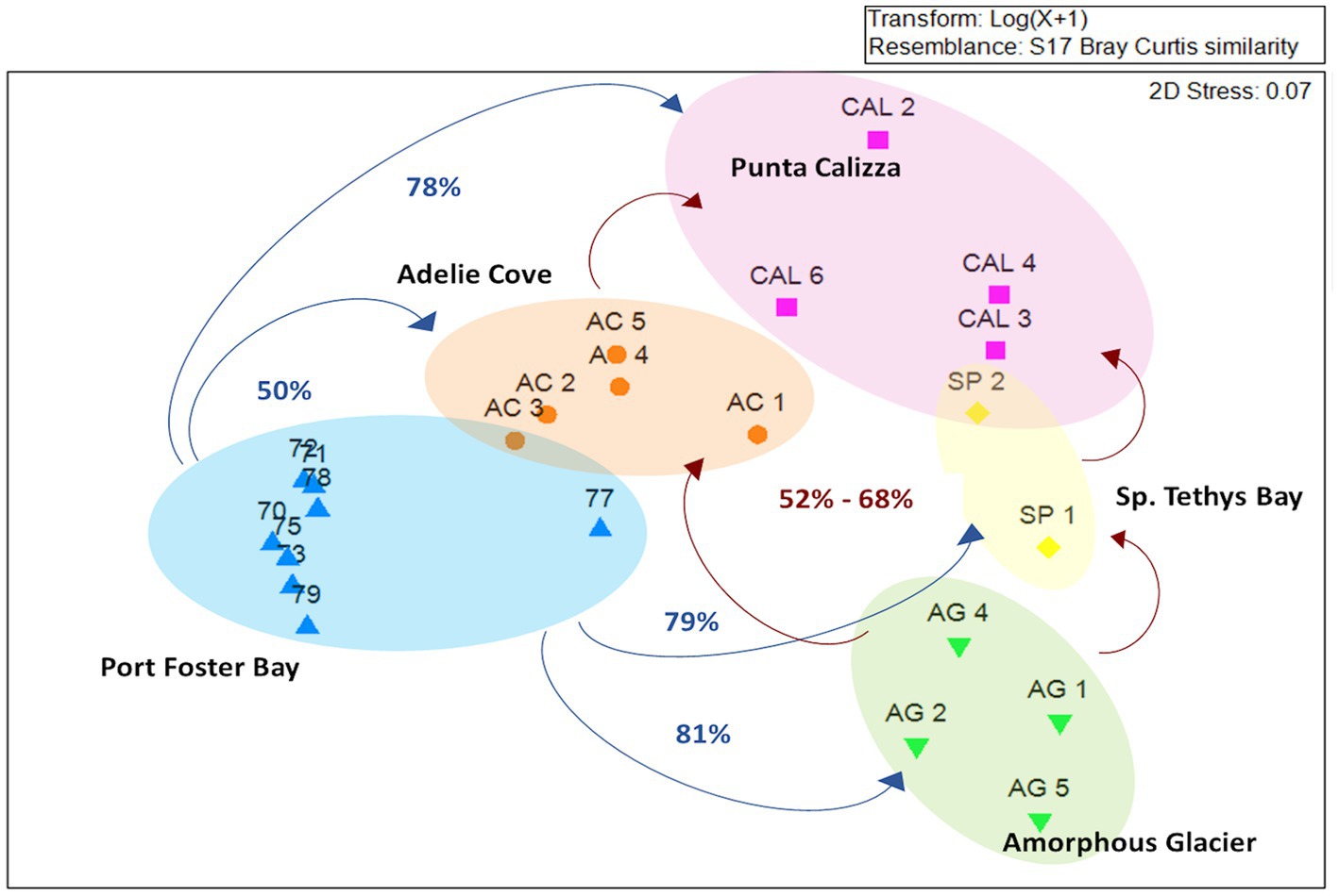 Frontiers  Rhodobacteraceae dominate the core microbiome of the