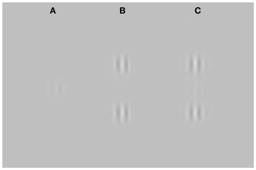 Figure 1 - Can you see it?
