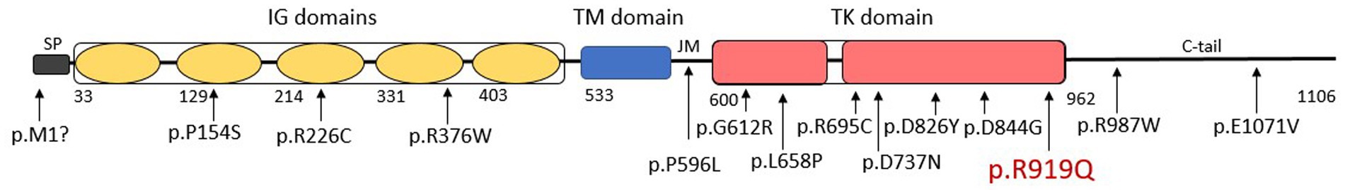 www.frontiersin.org