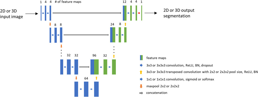 Frontiers  Deep learning for automatic head and neck lymph node level  delineation provides expert-level accuracy