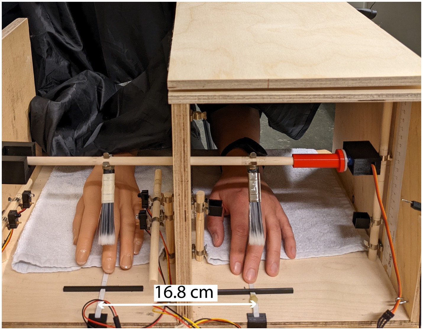 New paper points out flaw in rubber hand illu