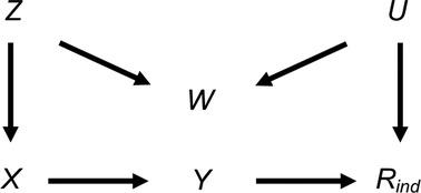 www.frontiersin.org