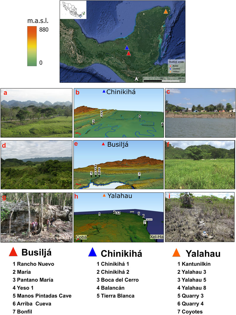 Fishing and integrated subsistence in central Mexican domesticated