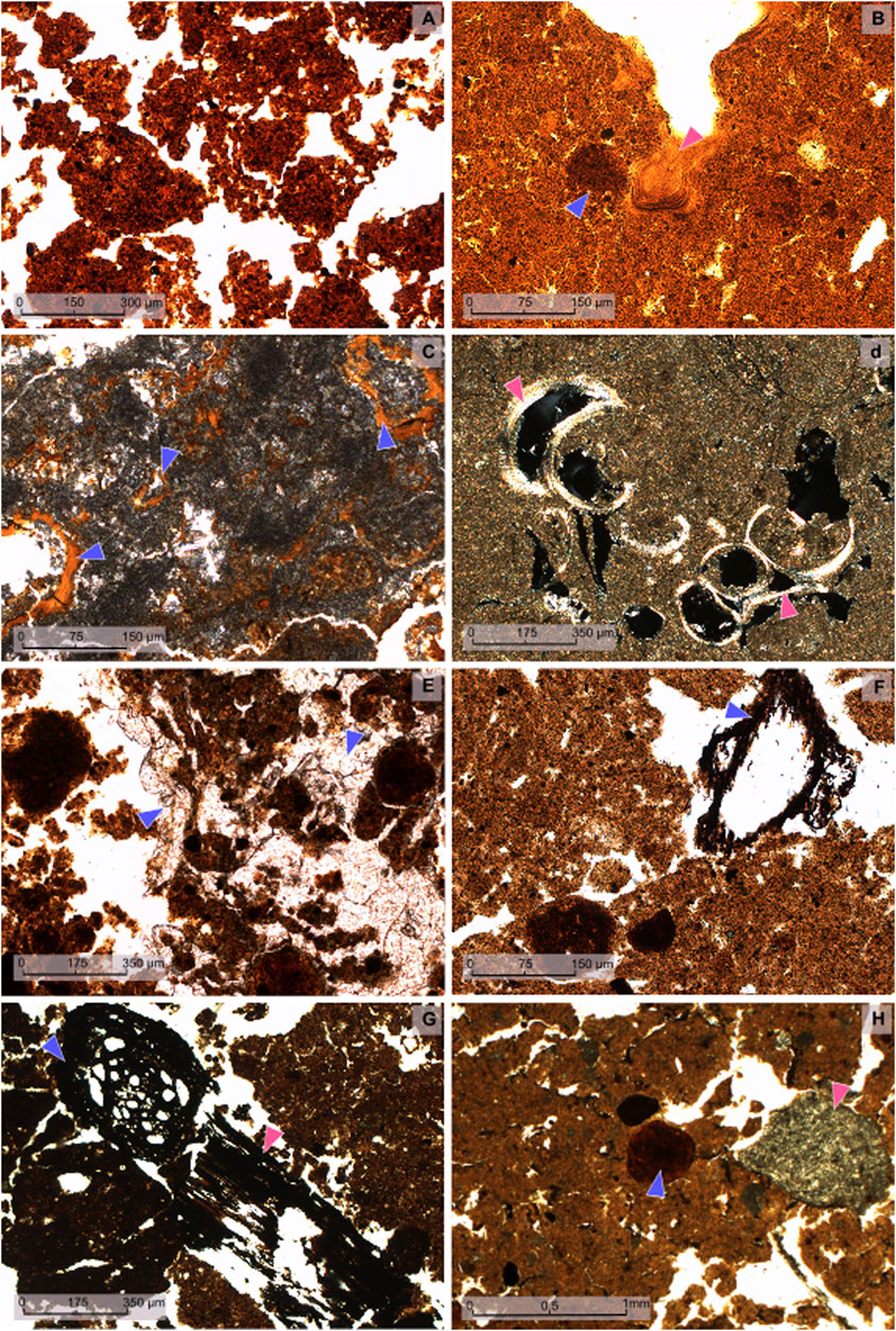 Frontiers  Soil toposequences, soil erosion, and ancient Maya