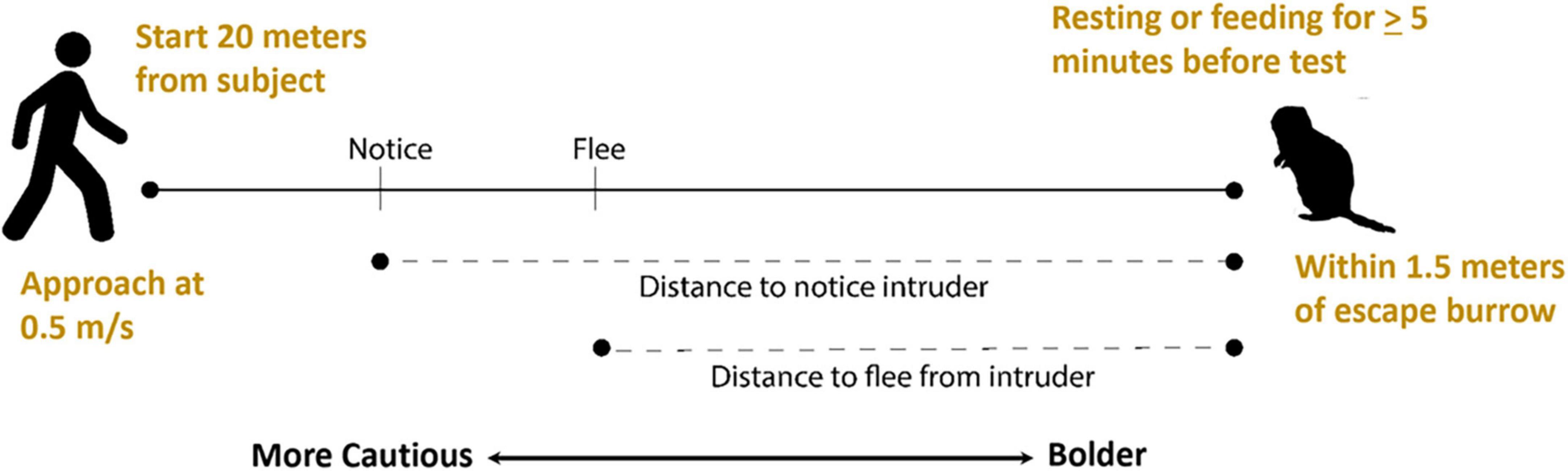 www.frontiersin.org