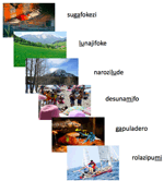 www.frontiersin.org