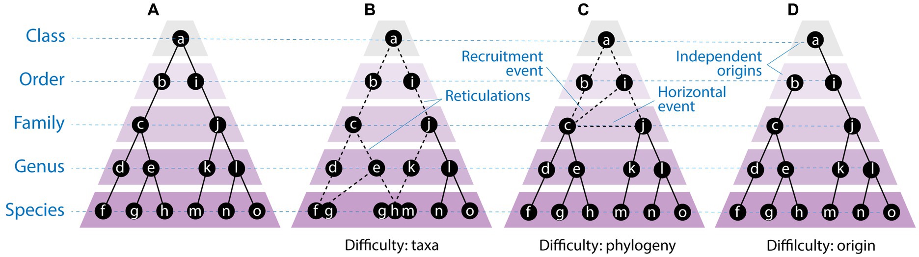 Taxonomy, Free Full-Text