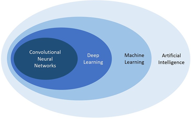 The AI Vision System Set to Revolutionize Whole Body Scans