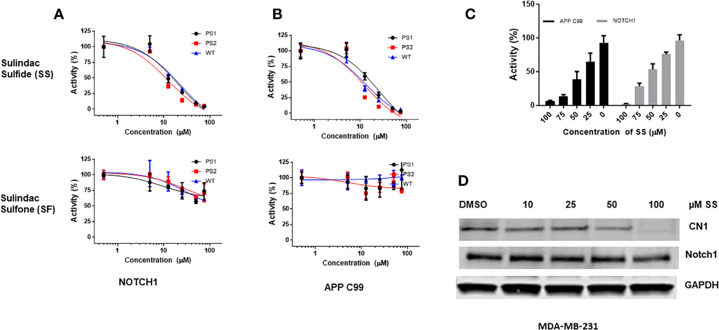 han gain fake nude Frontiers | Sulindac sulfide as a non-immune suppressive γ-secretase  modulator to target triple-negative breast cancer