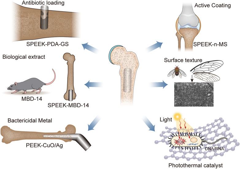 PDF) Bioactivity Enhancement of Plasma-Sprayed Hydroxyapatite Coatings  through Non-Contact Corona Electrical Charging