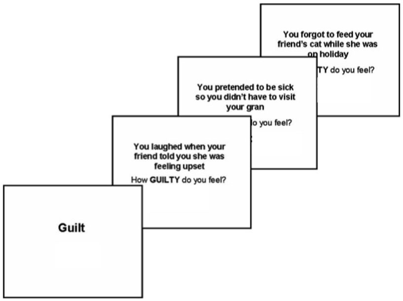 Figure 3 - Social emotion task.