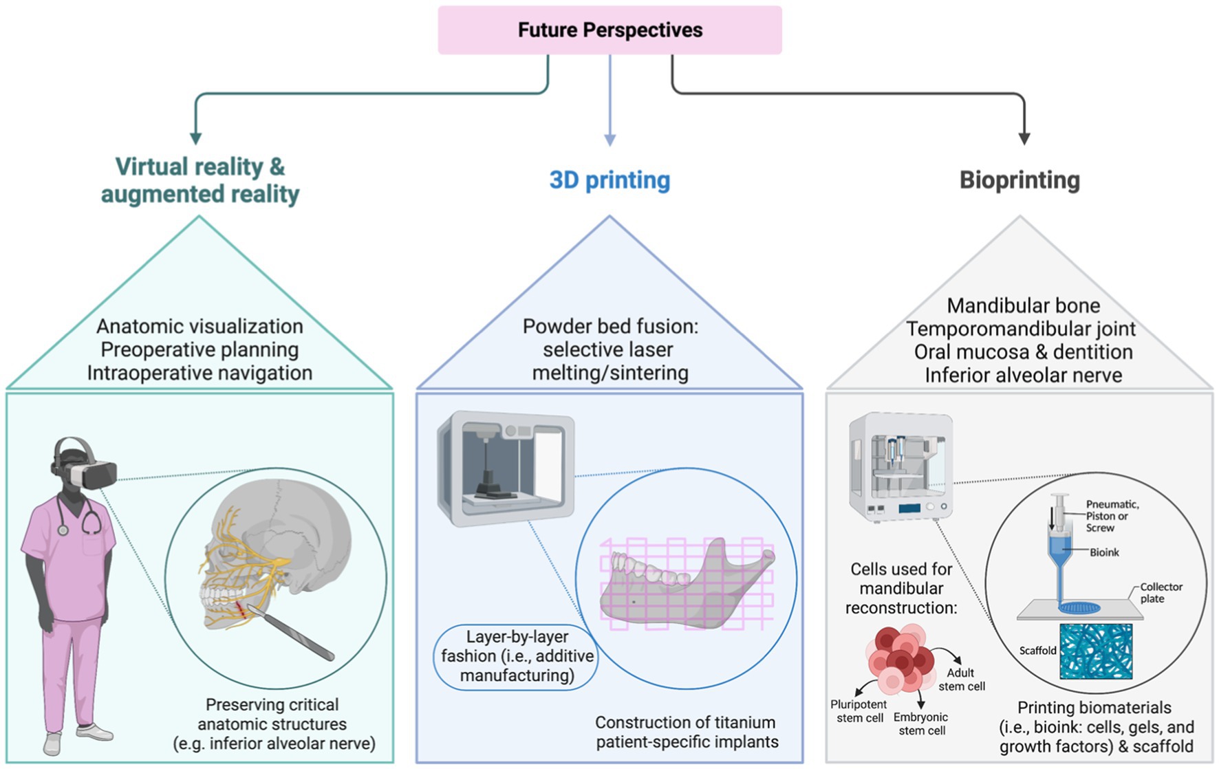 Mandibular reconstruction using a 3D-printed titanium implant with internal  scaffold