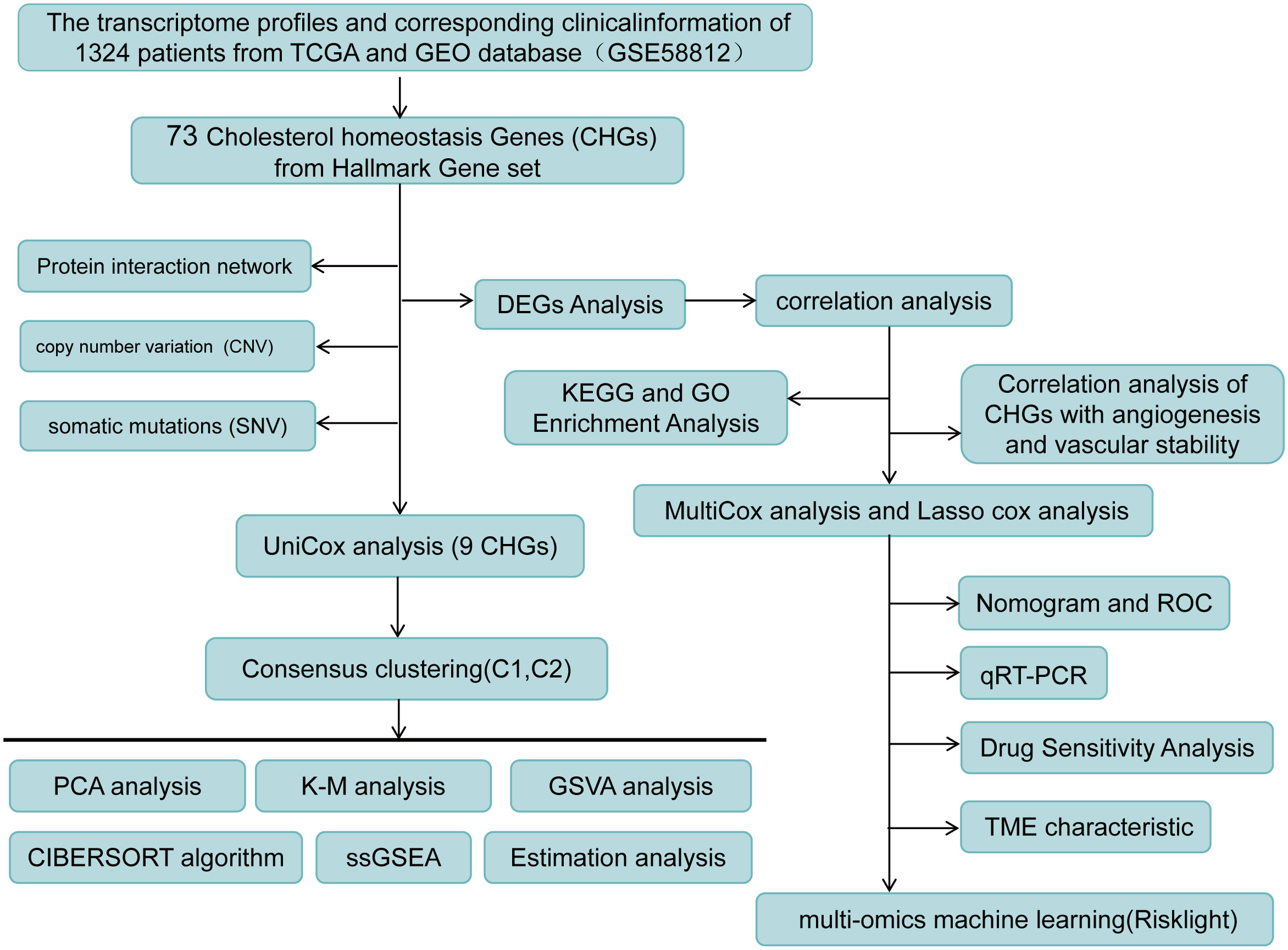 A shared genetic contribution to breast cancer and schizophrenia