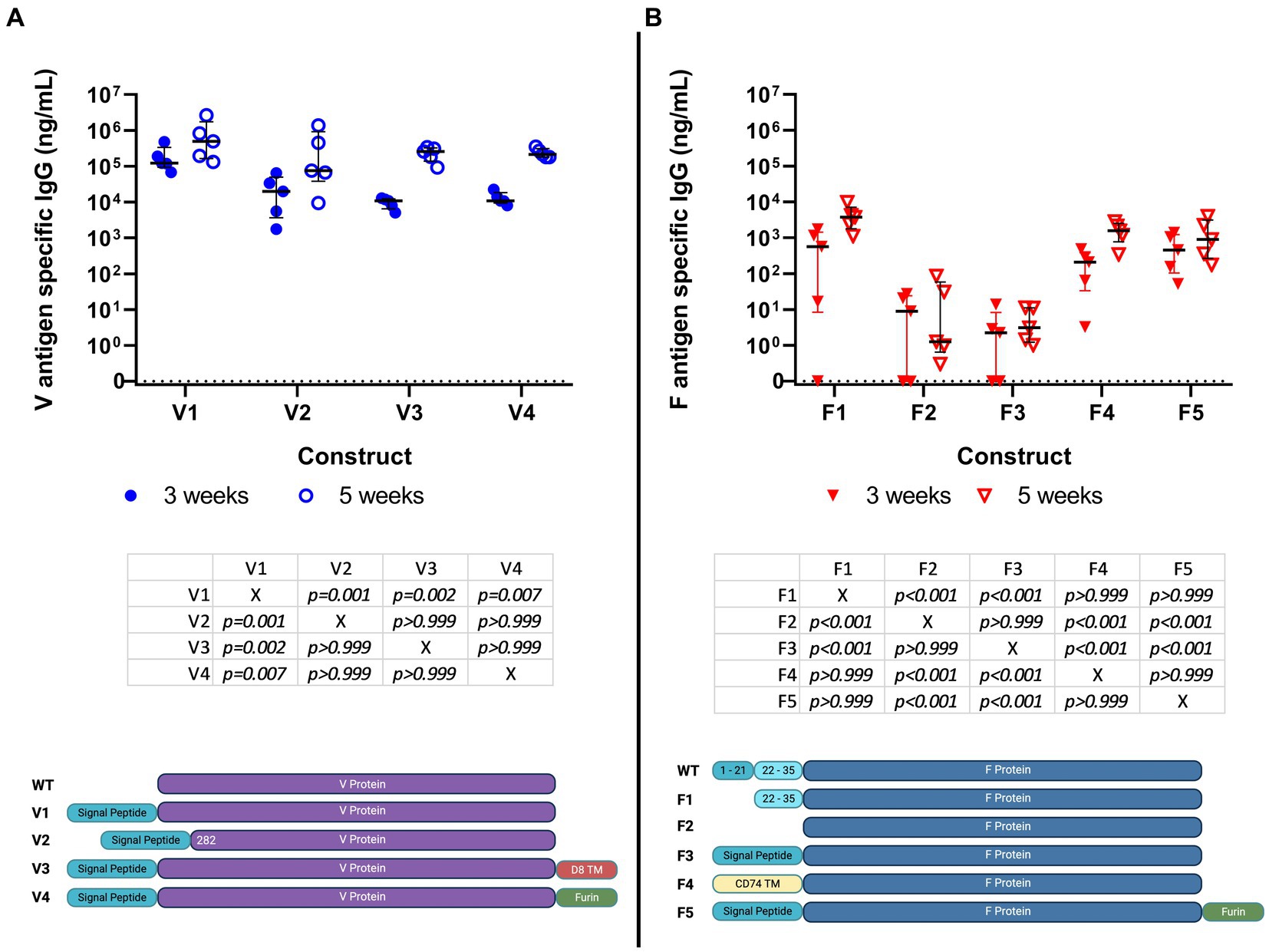 Frontiers | A self-amplifying RNA vaccine provides protection in a